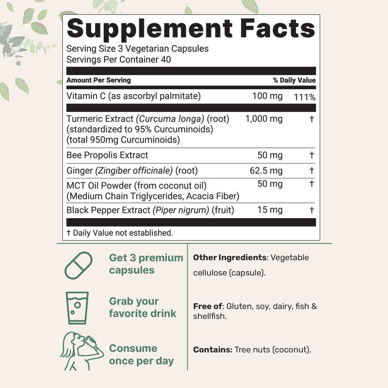 MicroIngredientes - Cúrcuma con Curcumina (1.000 mg)