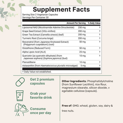 Liposomal NAD+ - Ultimate 1000mg, 60 Veggie Capsules